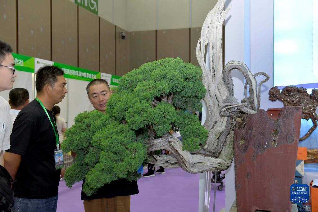 百博论坛